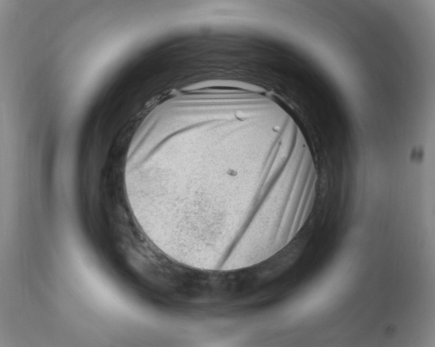 X0000111920383200908241057