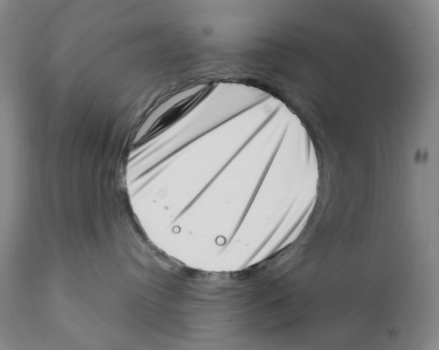 X0000111920384200908241057