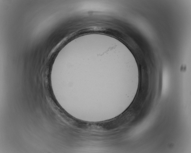 X0000111920387200908241056