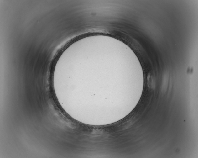 X0000111920388200908241056