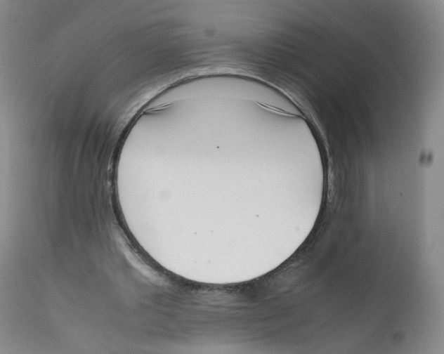 X0000111920389200908241056