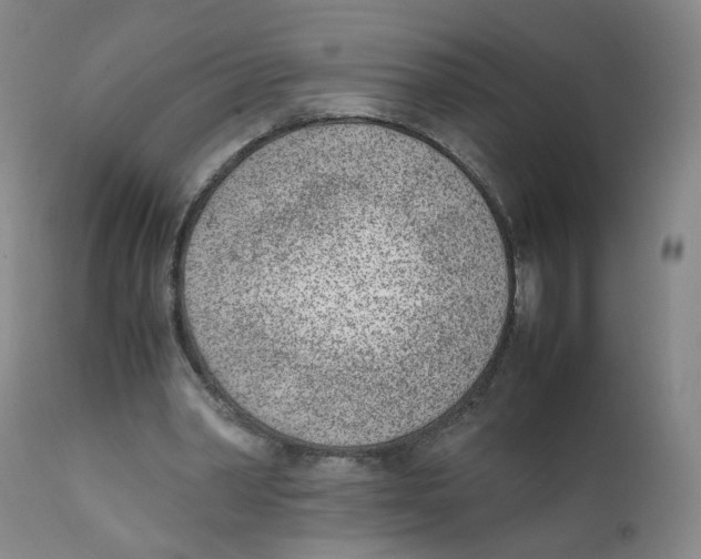 X0000111920390200908241056