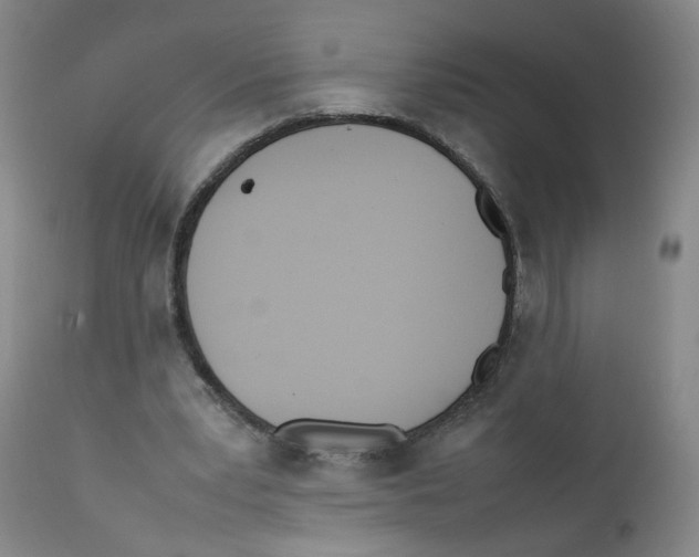 X0000111920391200908241056