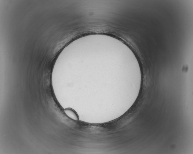 X0000111920393200908241056