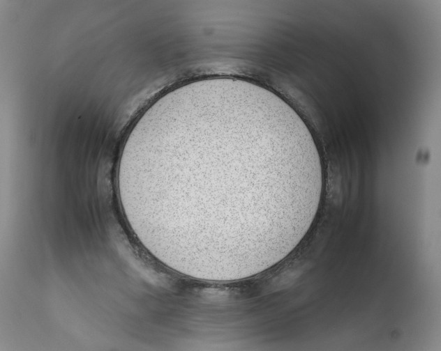 X0000111920394200908241056