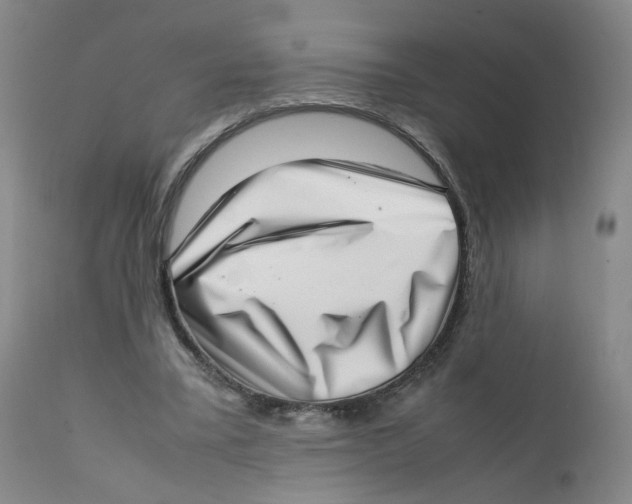 X0000111920395200908241056