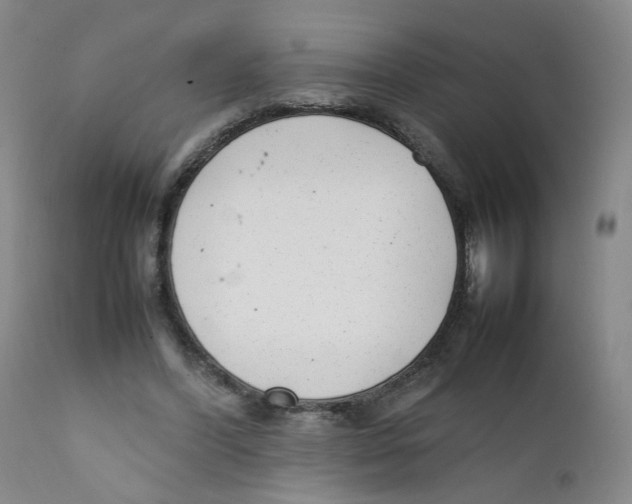 X0000111920396200908241056