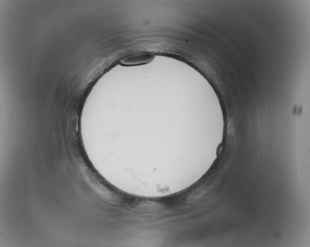 X0000111920397200908241056