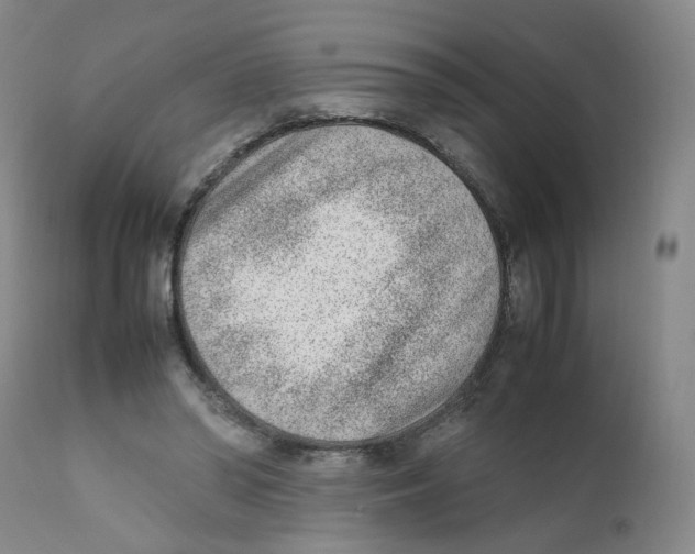 X0000111920398200908241056