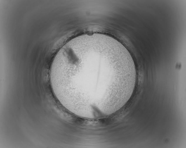 X0000111920401200908241056