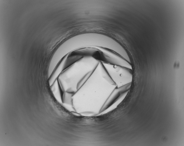 X0000111920405200908241056