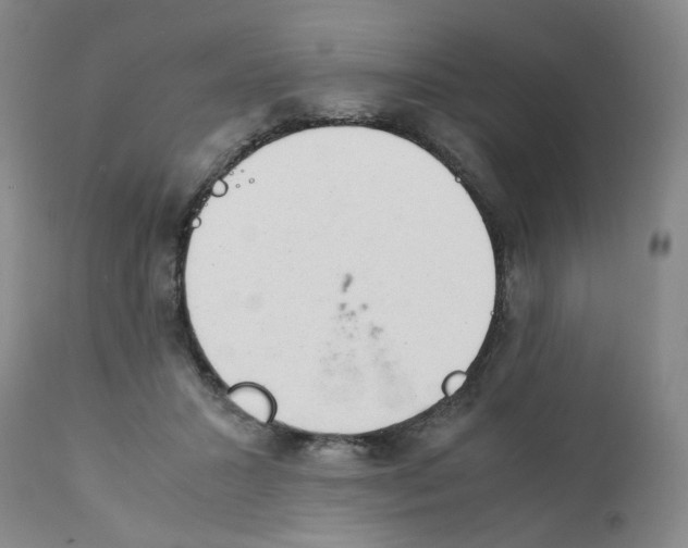 X0000111920407200908241056