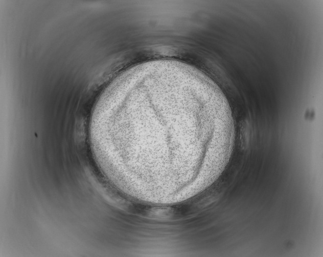 X0000111920410200908241056