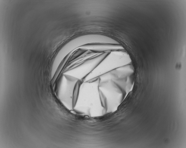 X0000111920411200908241056