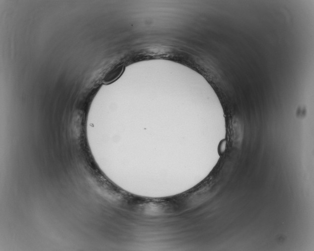 X0000111920412200908241056