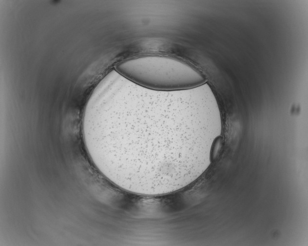 X0000111920413200908241056