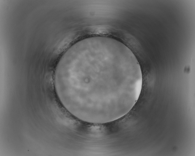 X0000111920415200908241056