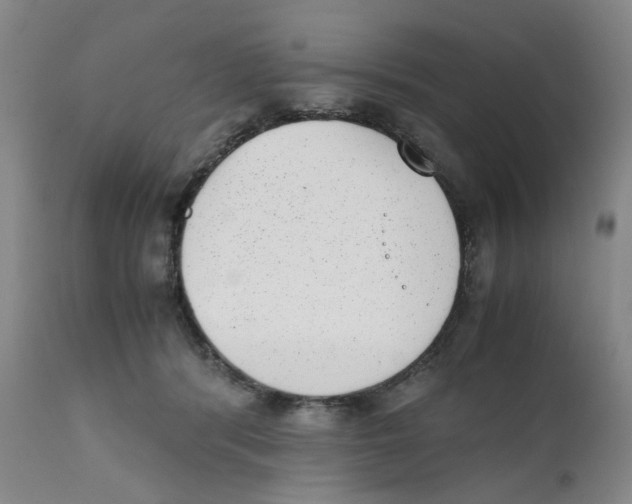 X0000111920416200908241056