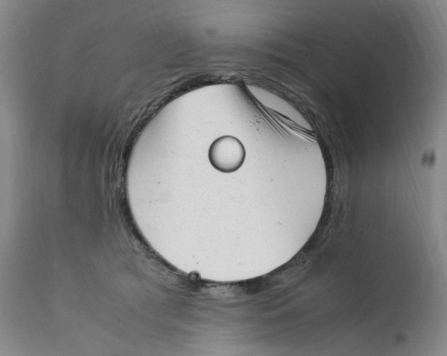 X0000111920417200908241056