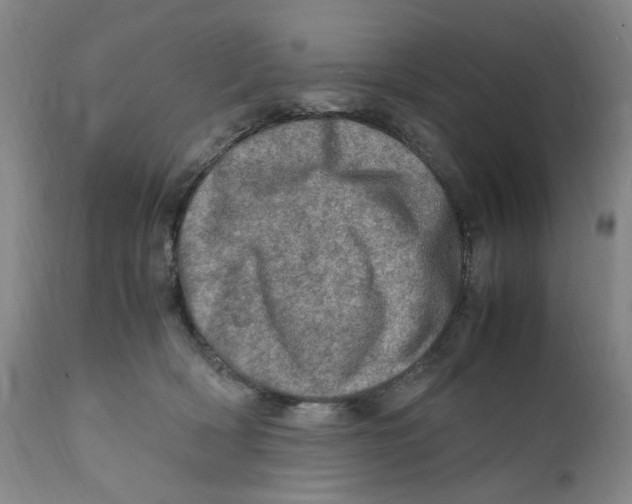 X0000111920418200908241056