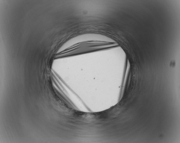 X0000111920419200908241056