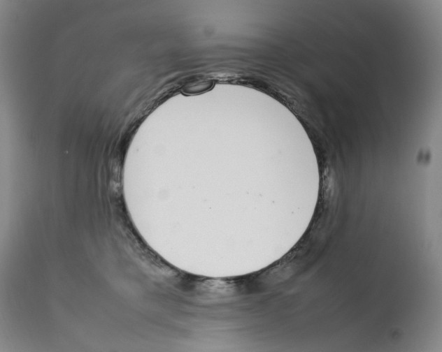 X0000111920421200908241056