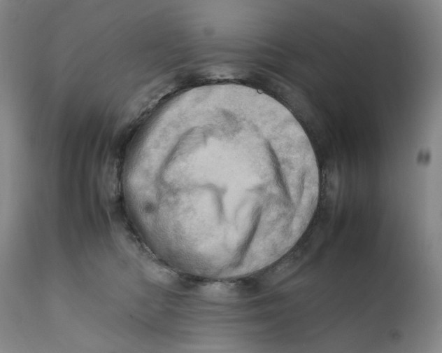 X0000111920422200908241056