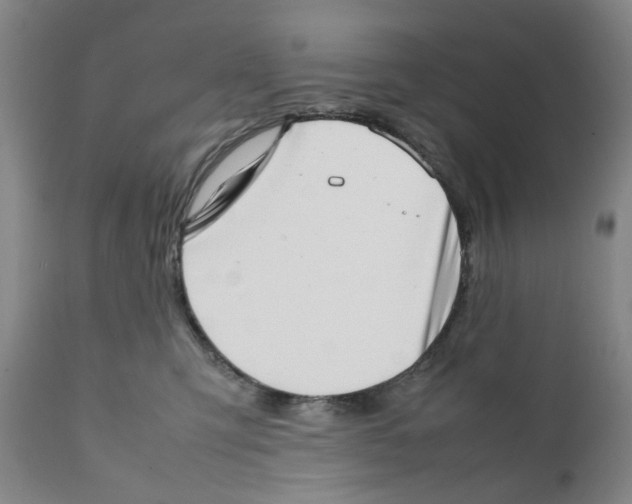 X0000111920423200908241056