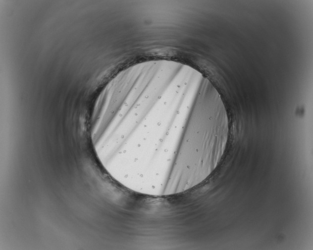 X0000111920424200908241056