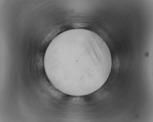 X0000111920426200908241055