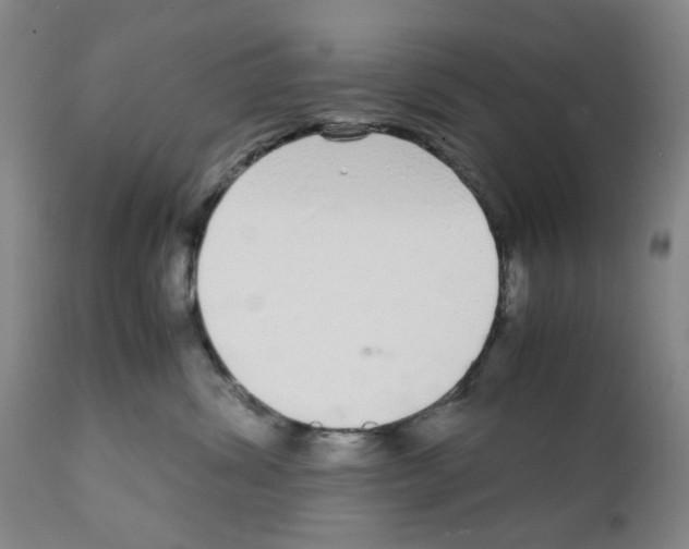 X0000111920428200908241055