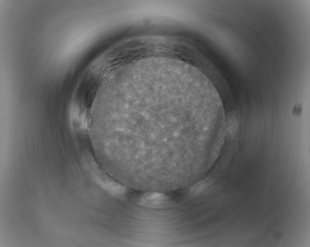 X0000111920431200908241055