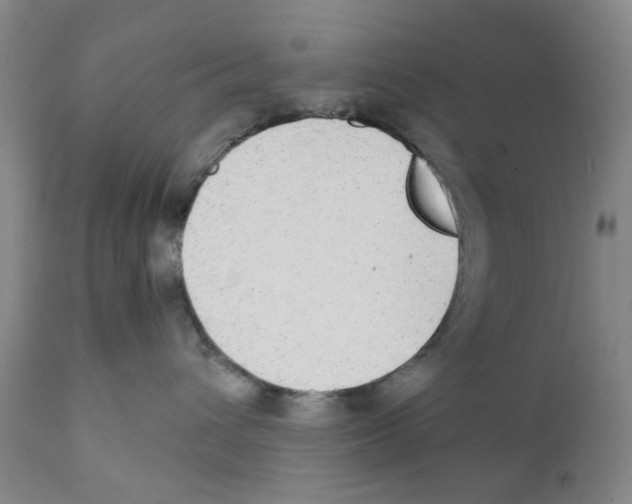 X0000111920432200908241055