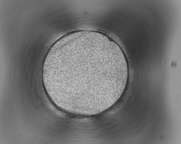 X0000111920433200908241055