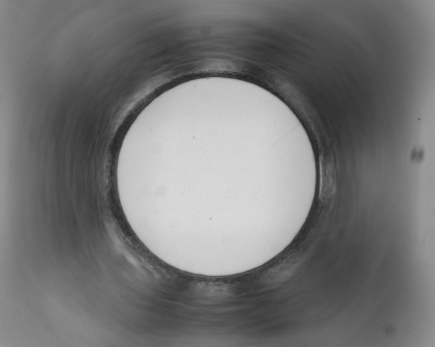 X0000111920435200908241055