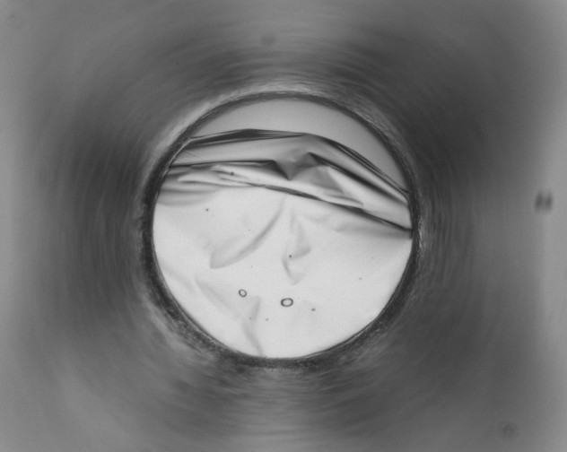 X0000111920436200908241055