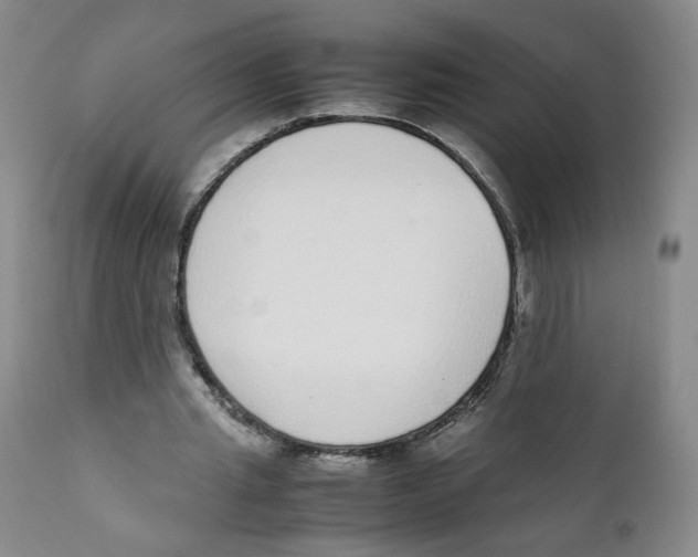 X0000111920437200908241055