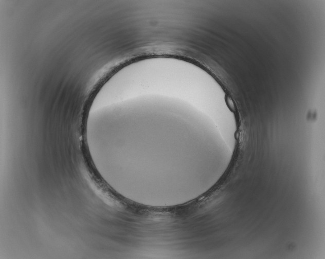 X0000111920438200908241055