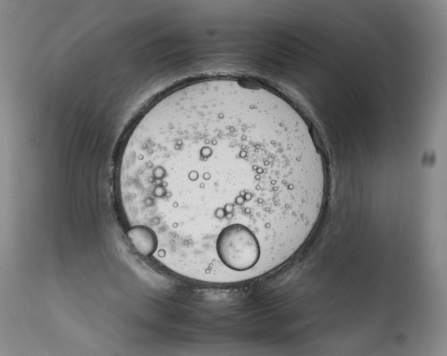 X0000111920439200908241055