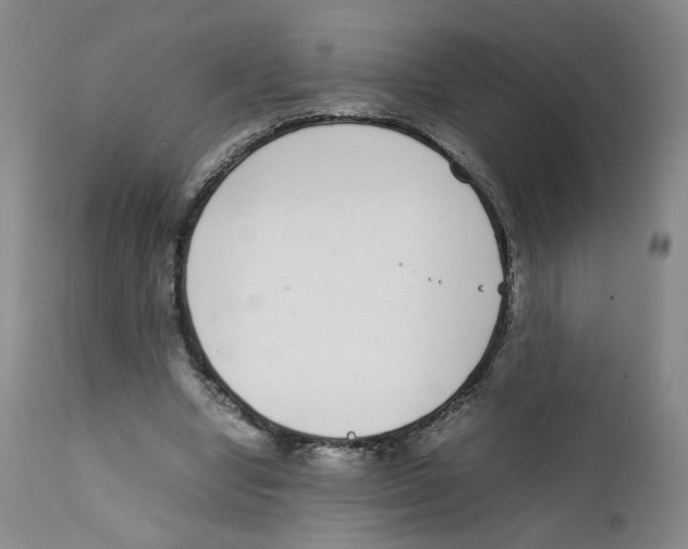 X0000111920442200908241055