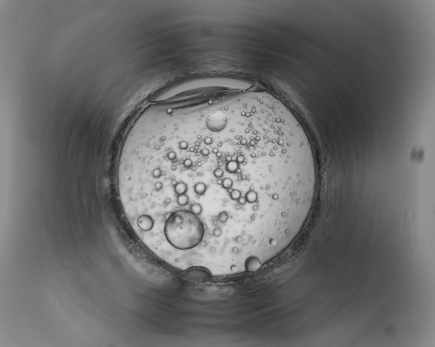 X0000111920443200908241055