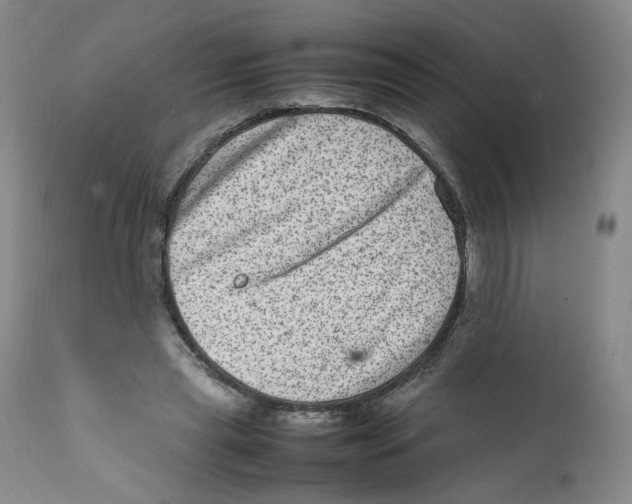 X0000111920445200908241055