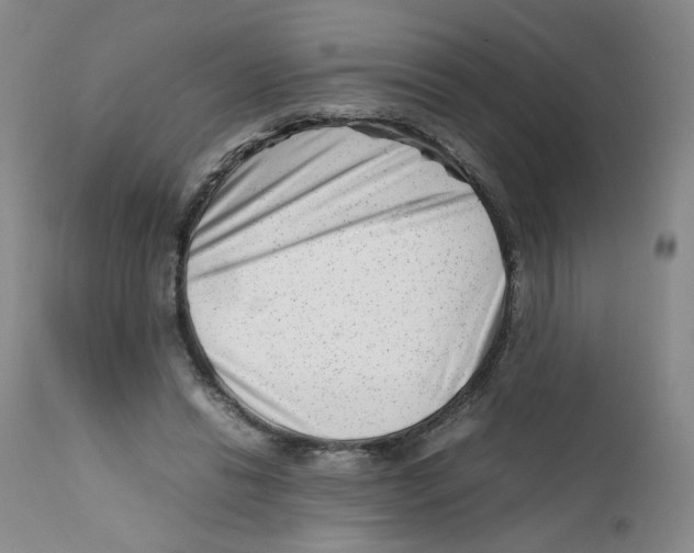 X0000111920446200908241055