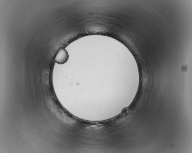 X0000111920447200908241055