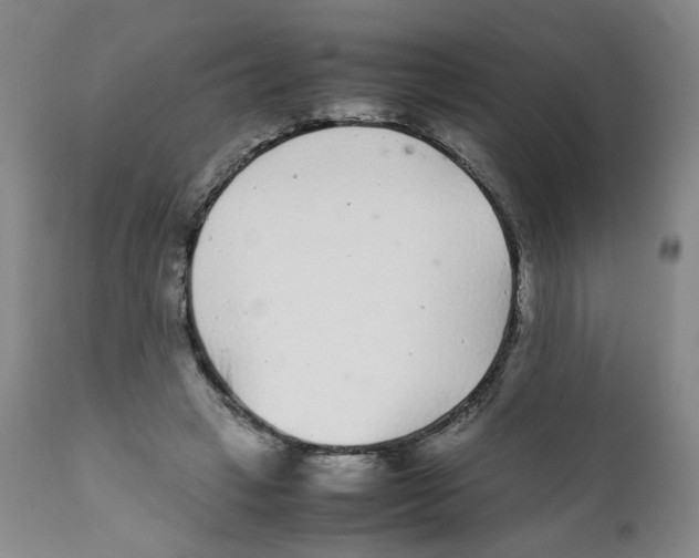 X0000111920449200908241055