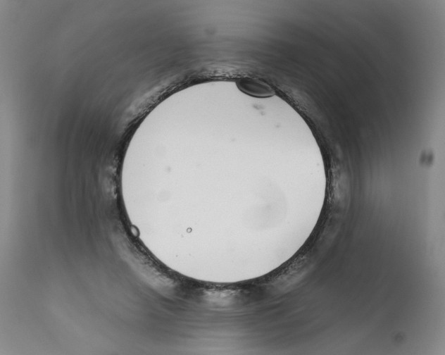 X0000111920450200908241055