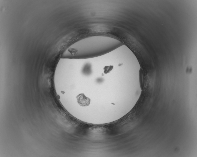 X0000111920452200908241055