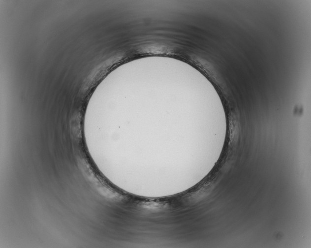 X0000111920453200908241055