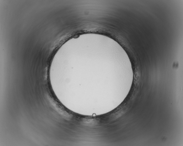 X0000111920454200908241055