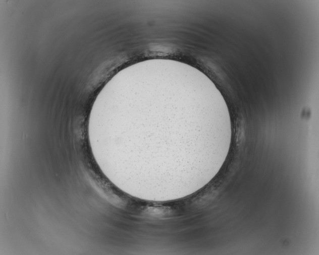 X0000111920455200908241055